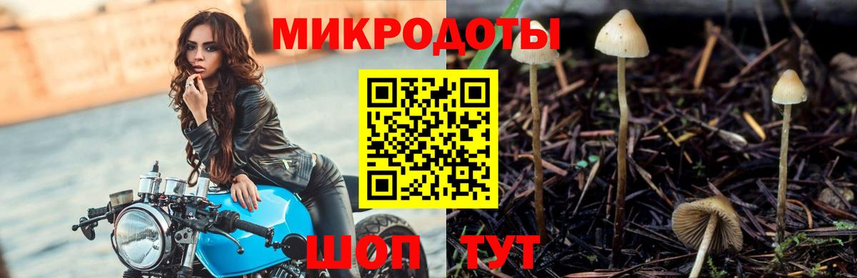 Галлюциногенные грибы GOLDEN TEACHER Серпухов